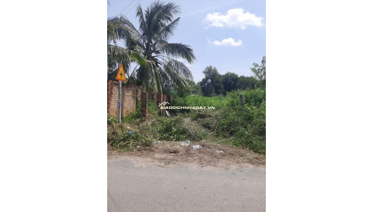 Bán đất mặt tiền huyện Đức Linh  Nguyễn Tri Phương có 100m2 ODT